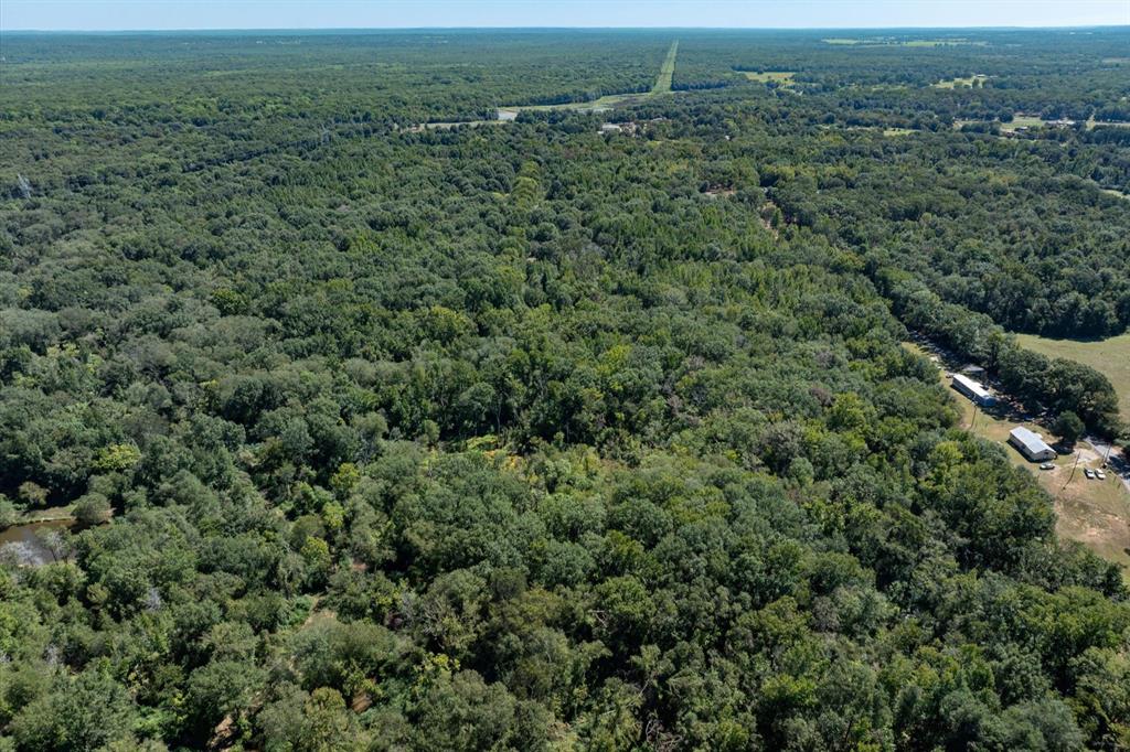 Tract 1 County Road 484 Property Photo 10