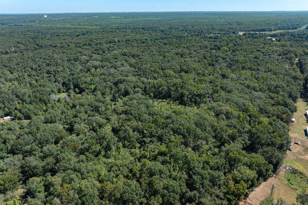 Tract 1 County Road 484 Property Photo 12