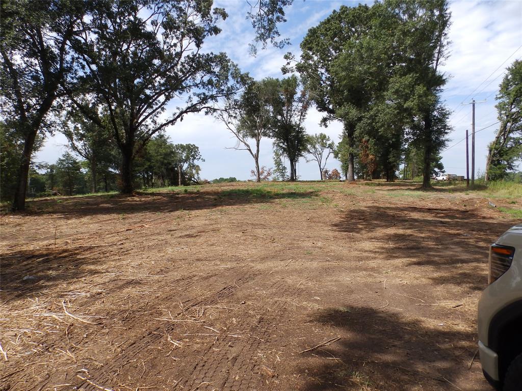 16393 W State Highway 31 Property Photo 9