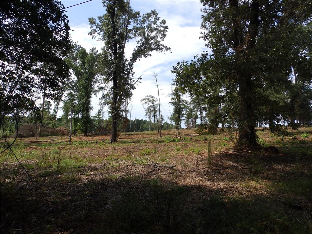 16393 W State Highway 31 Property Photo 16