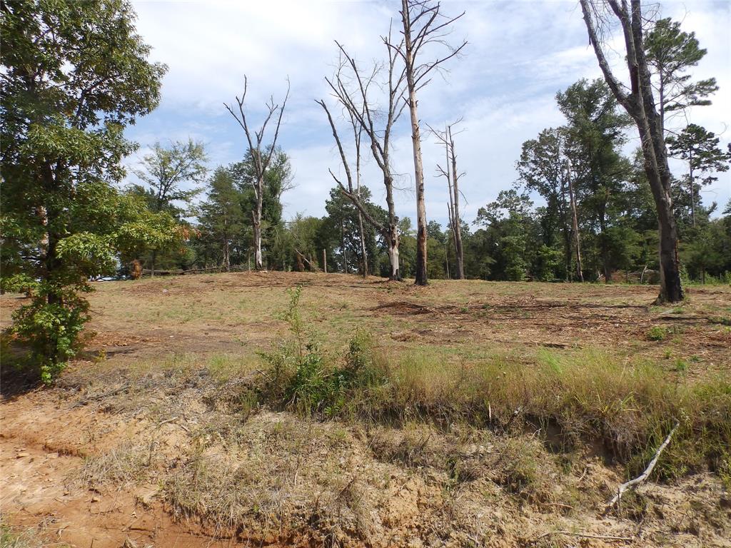 16393 W State Highway 31 Property Photo 17