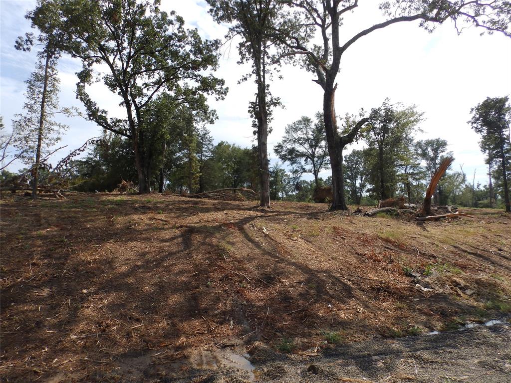 16393 W State Highway 31 Property Photo 20
