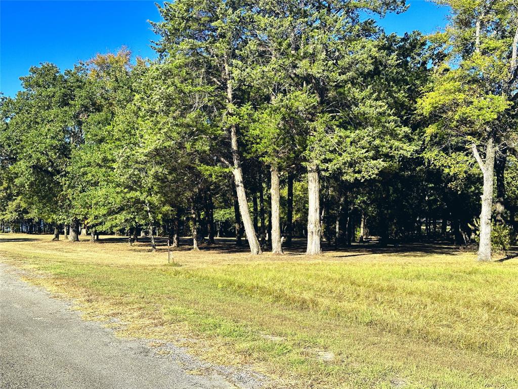 Lot 65 Sombrilla Lane Property Photo 2