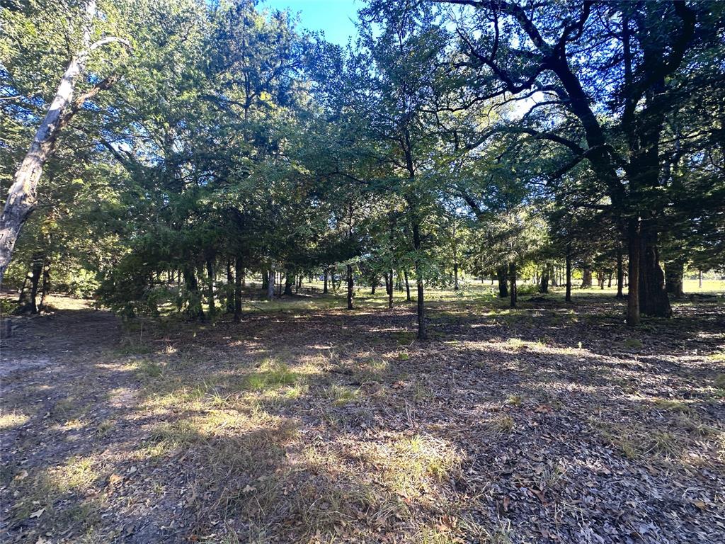 Lot 65 Sombrilla Lane Property Photo 5