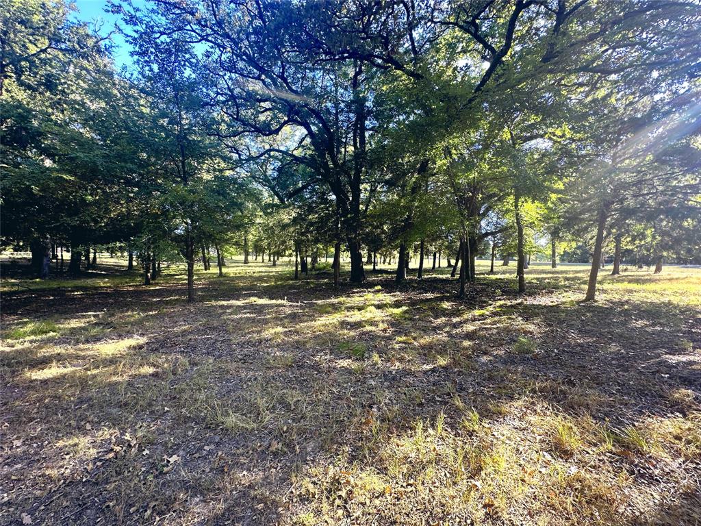 Lot 65 Sombrilla Lane Property Photo 11
