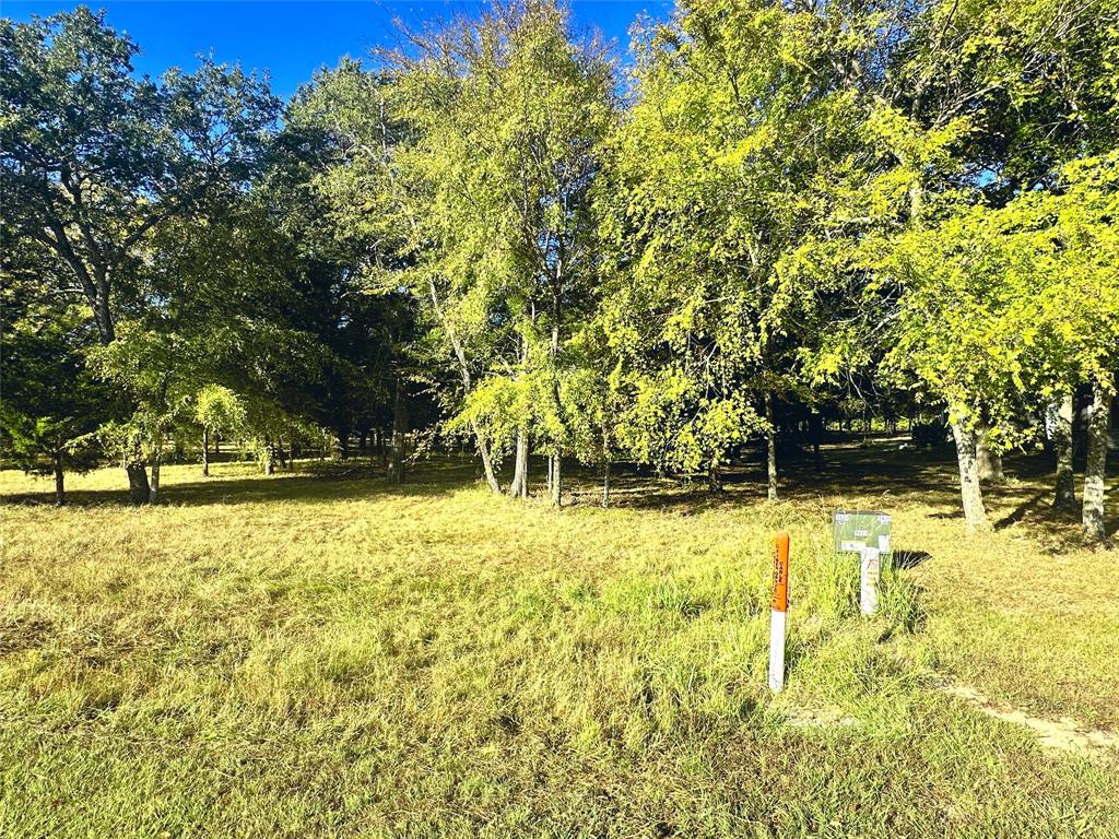 Lot 65 Sombrilla Lane Property Photo 12