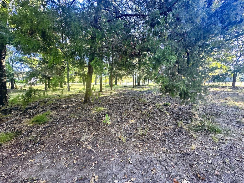 Lot 65 Sombrilla Lane Property Photo 14