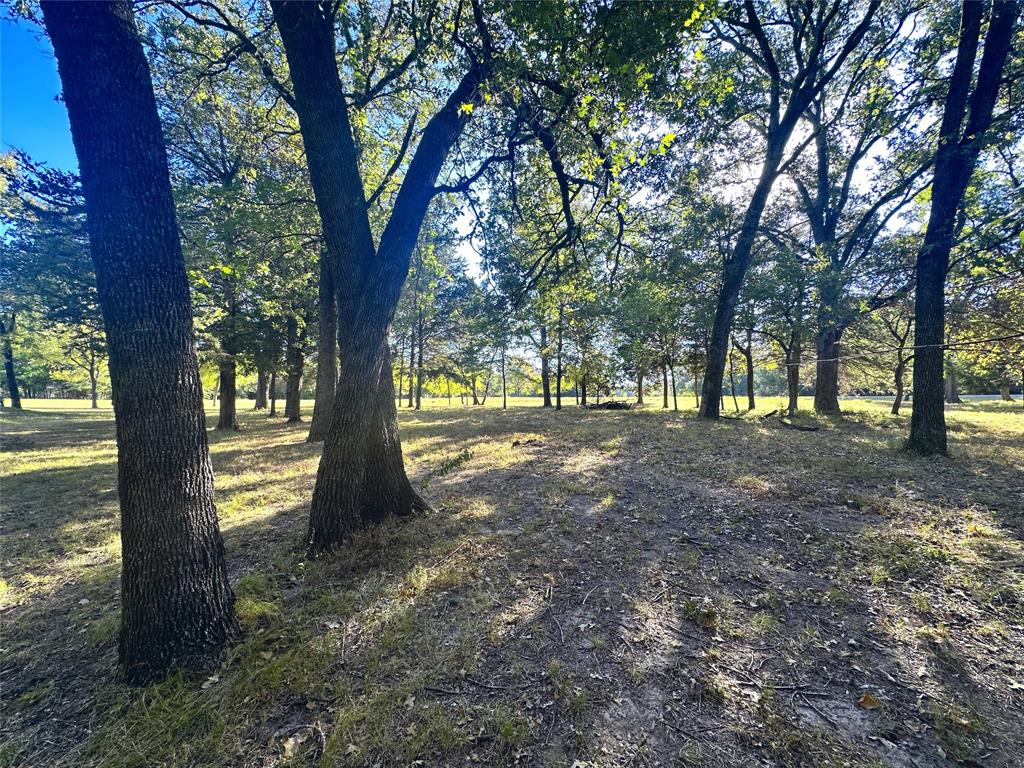Lot 65 Sombrilla Lane Property Photo 15