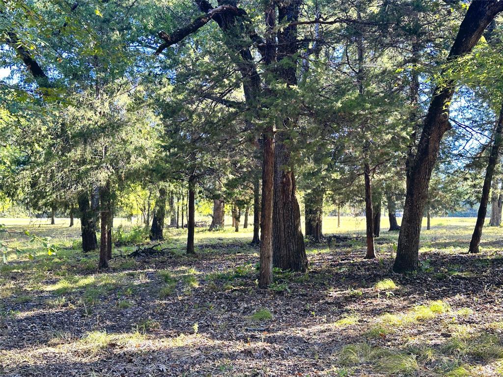 Lot 65 Sombrilla Lane Property Photo 17