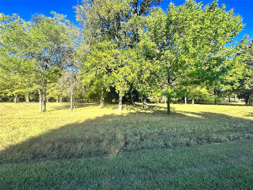 Lot 65 Sombrilla Lane Property Photo 19