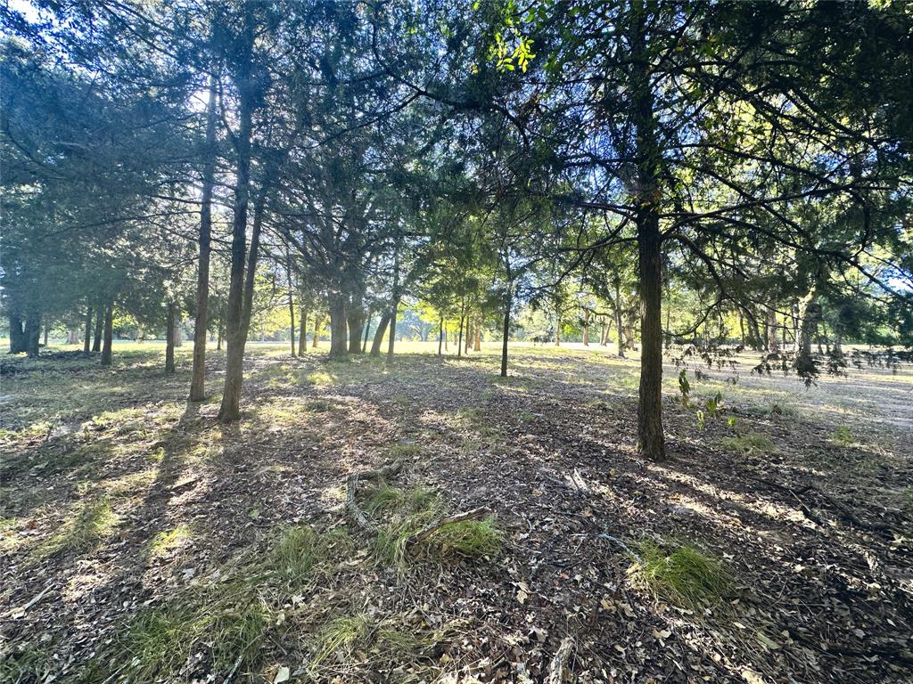 Lot 65 Sombrilla Lane Property Photo 21