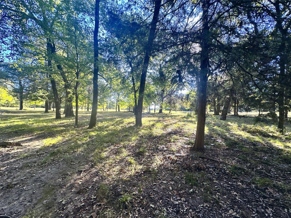 Lot 65 Sombrilla Lane Property Photo 22