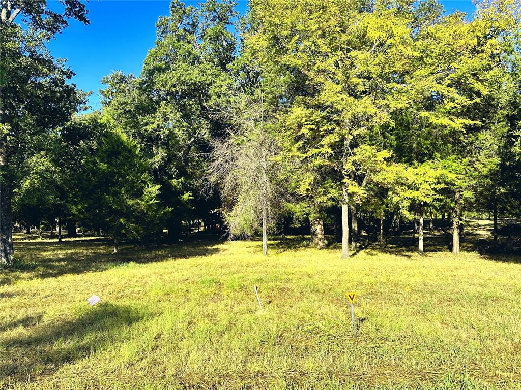 Lot 65 Sombrilla Lane Property Photo 33