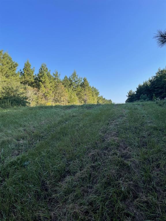 Tbd (lot 55) County Road 1060 Property Photo 7