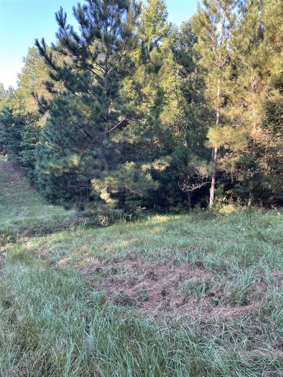 Tbd (lot 55) County Road 1060 Property Photo 9
