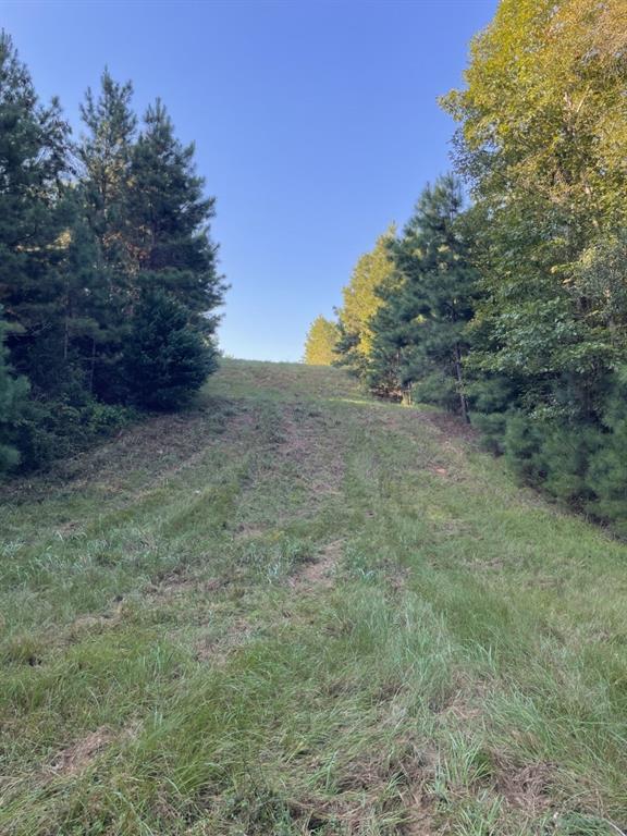 Tbd (lot 55) County Road 1060 Property Photo 12