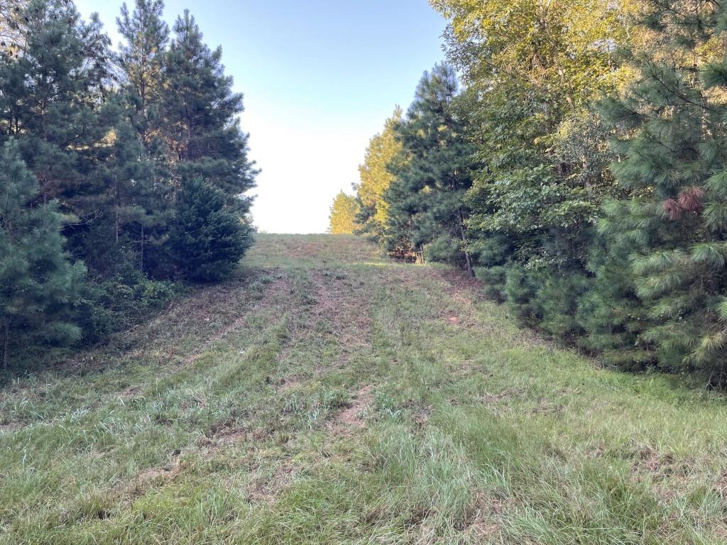 Tbd (lot 55) County Road 1060 Property Photo 13