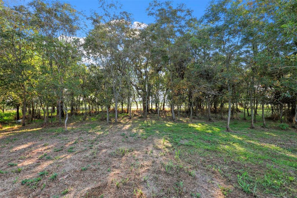 237 Greene Road Property Photo 12