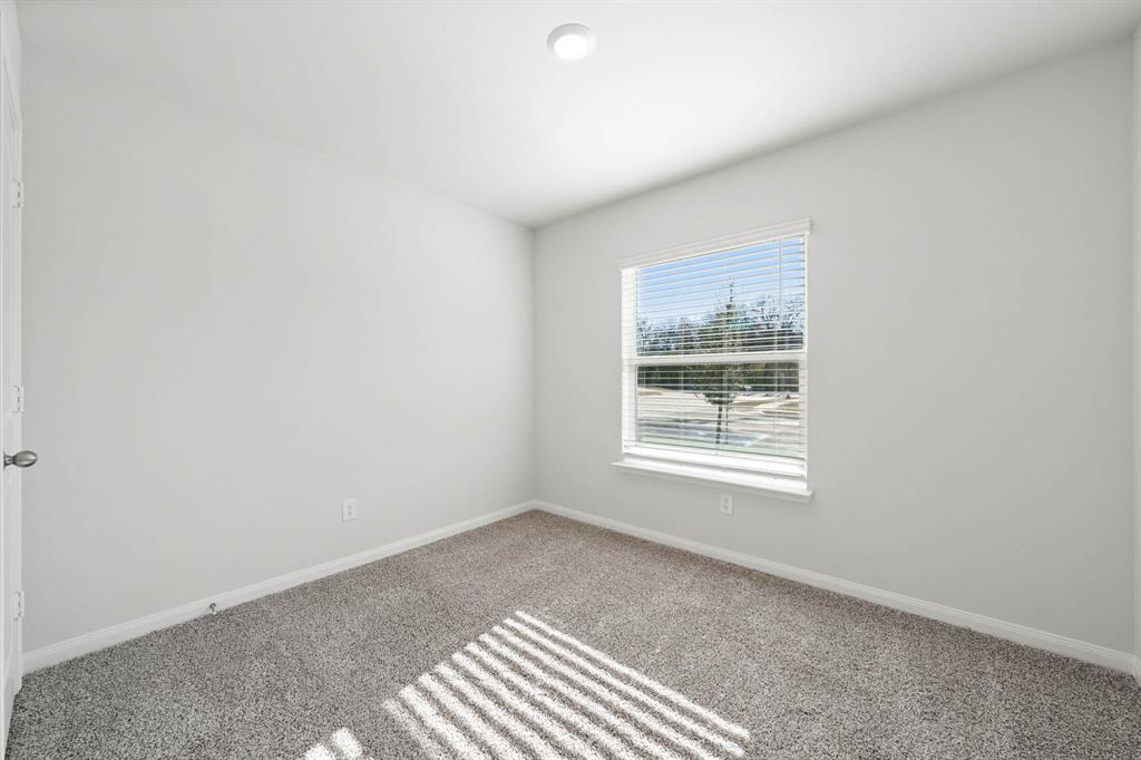 4317 Sweet Fennel Drive Property Photo 17