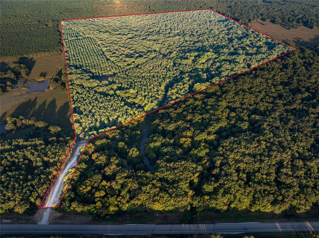 Tbd Us Hwy 37 Property Photo 5