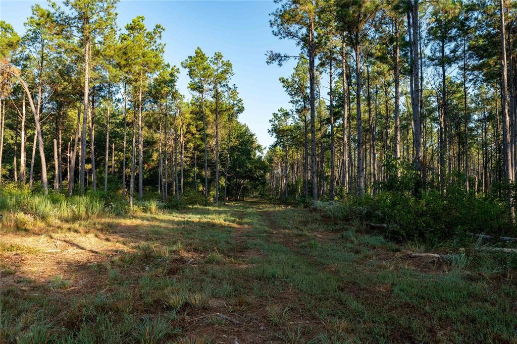 Tbd Us Hwy 37 Property Photo 8