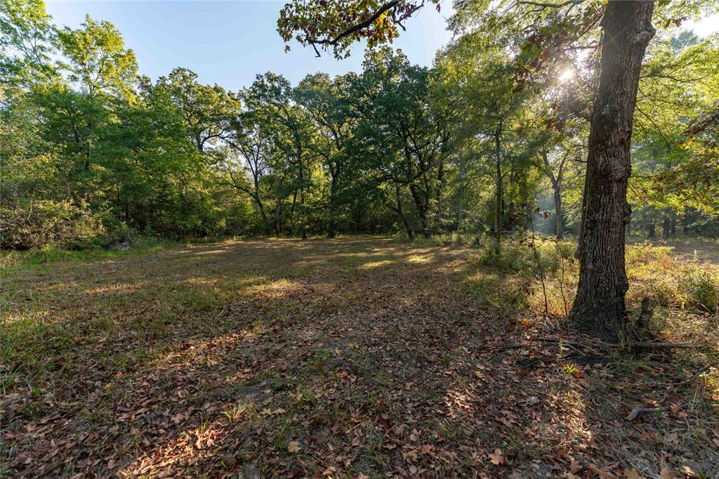 Tbd Us Hwy 37 Property Photo 10