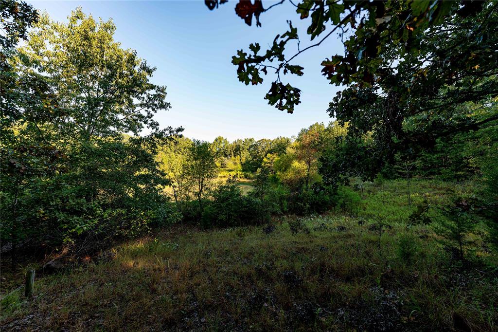 Tbd Us Hwy 37 Property Photo 13