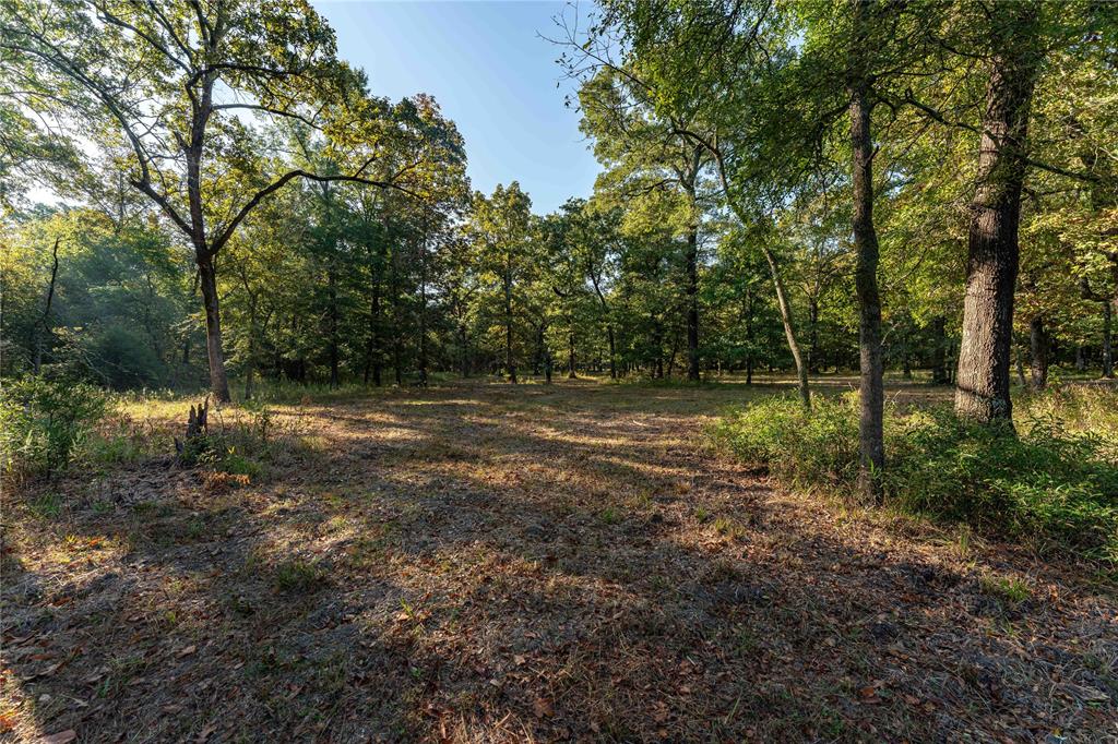 Tbd Us Hwy 37 Property Photo 14