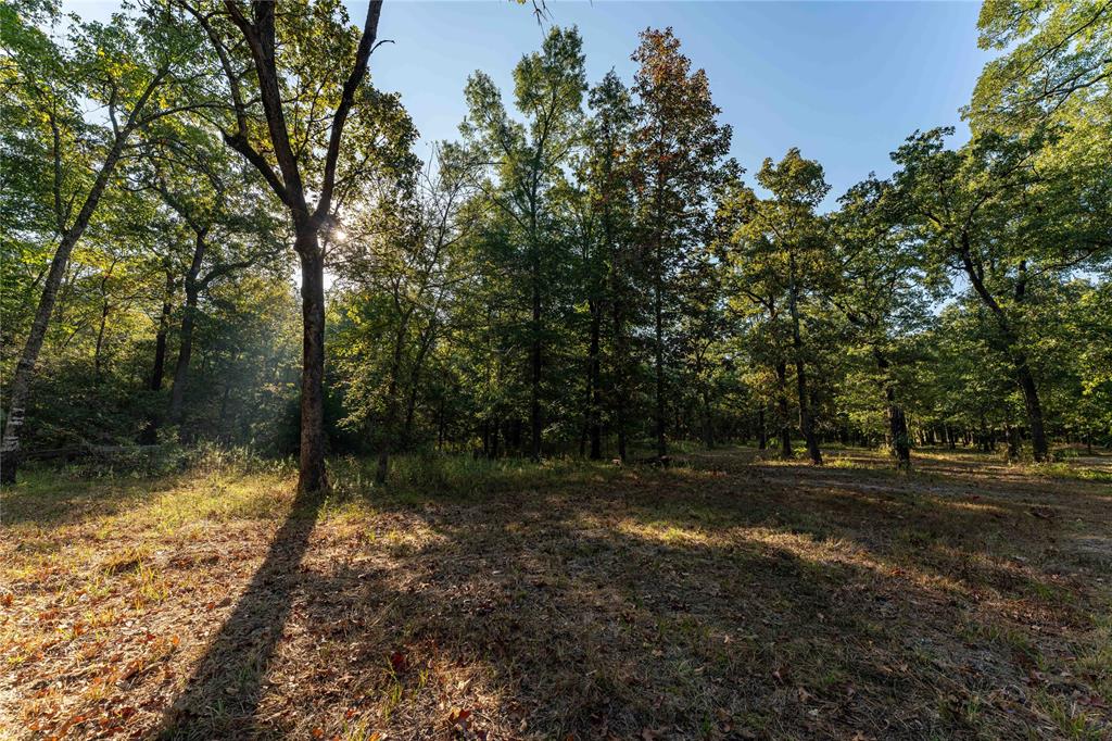 Tbd Us Hwy 37 Property Photo 15