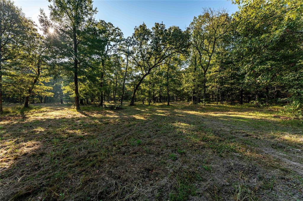 Tbd Us Hwy 37 Property Photo 17