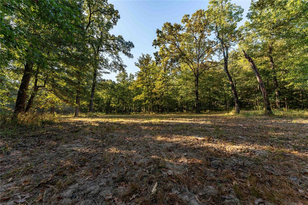 Tbd Us Hwy 37 Property Photo 18
