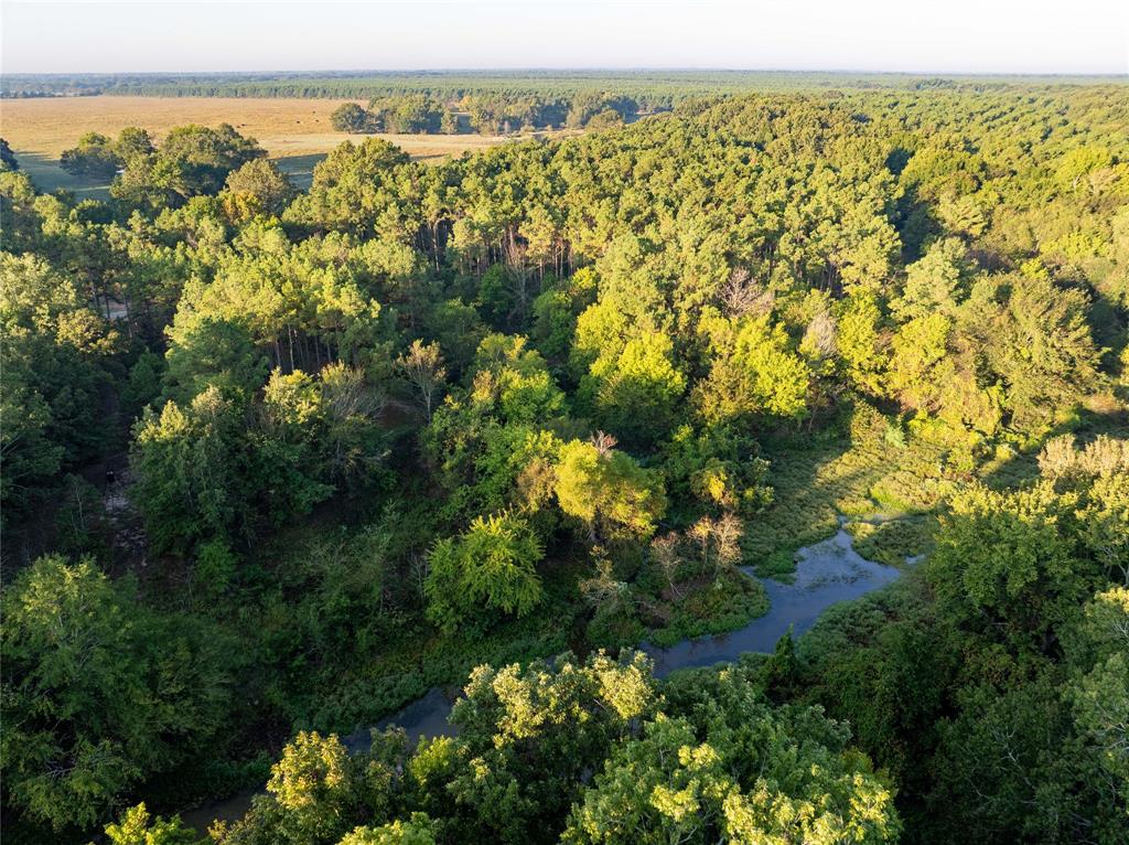 Tbd Us Hwy 37 Property Photo 21