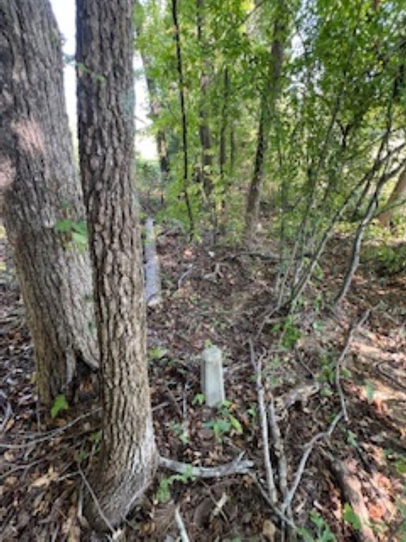 21805 S 69 Highway Property Photo 2