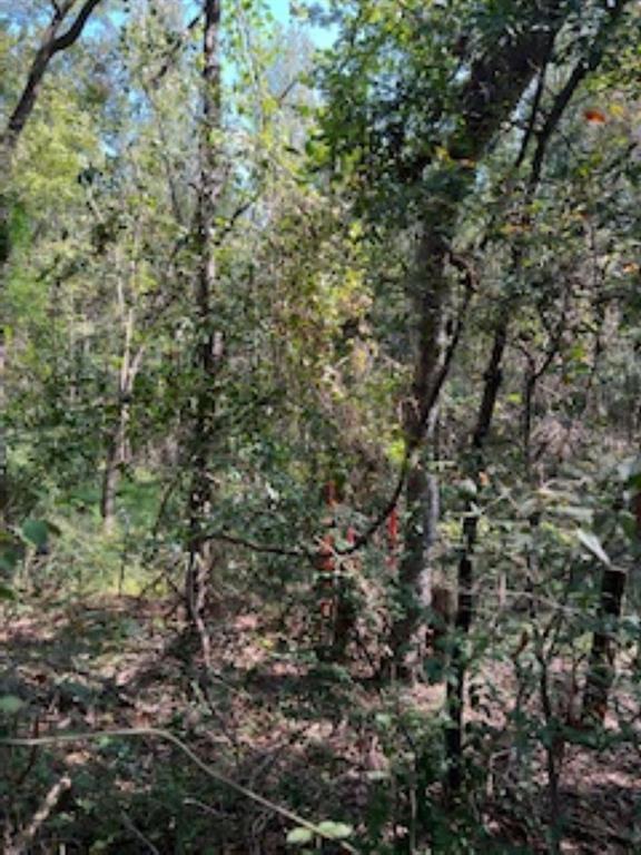 21805 S 69 Highway Property Photo 9