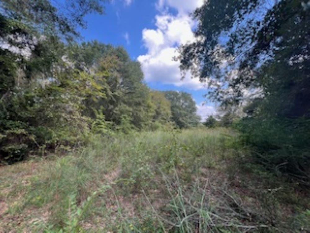 21805 S 69 Highway Property Photo 35