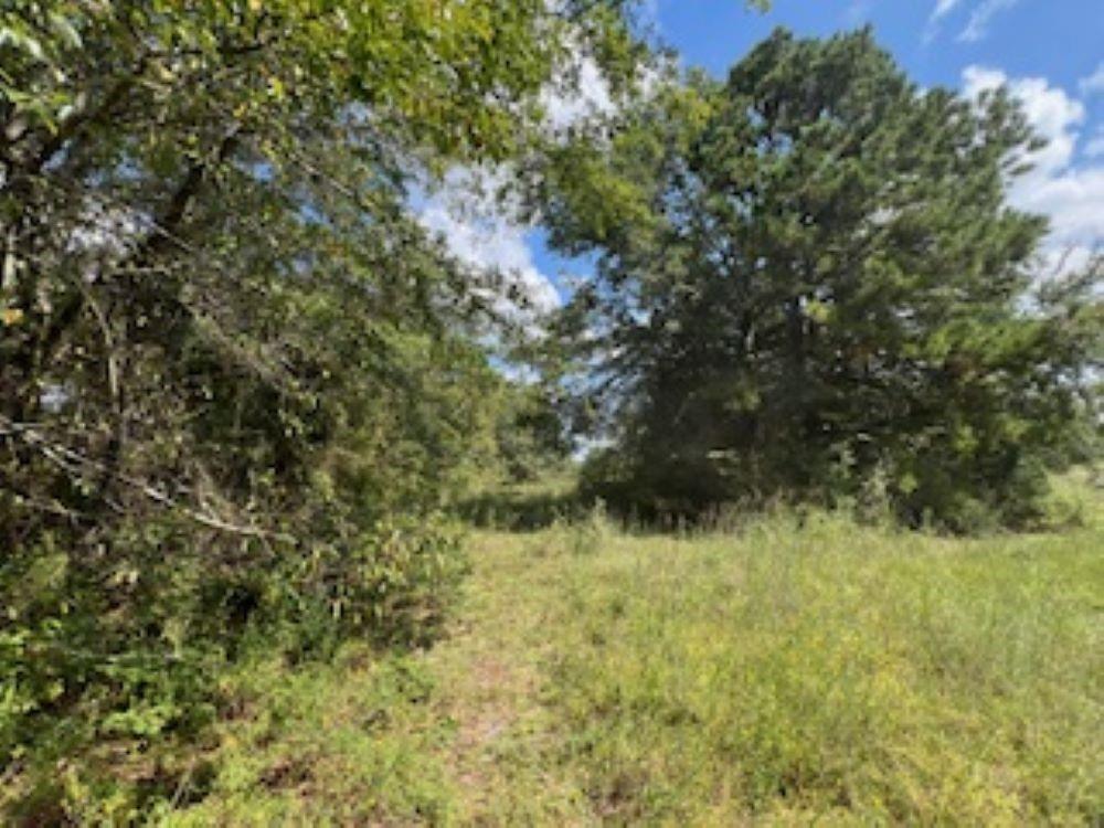 21805 S 69 Highway Property Photo 36