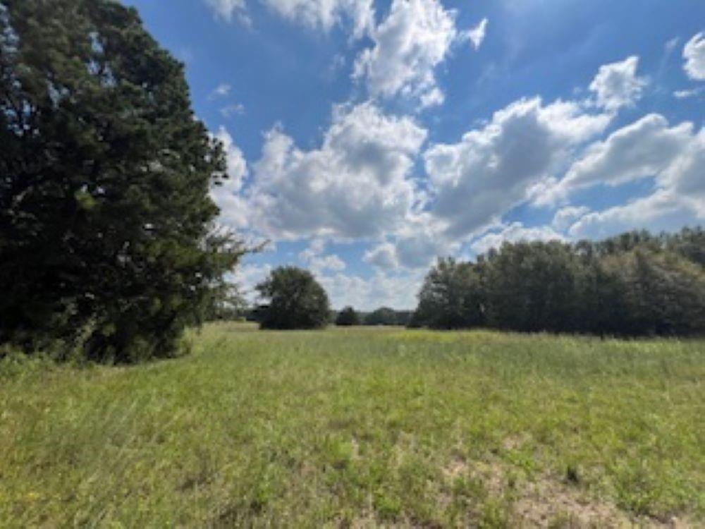 21805 S 69 Highway Property Photo 38