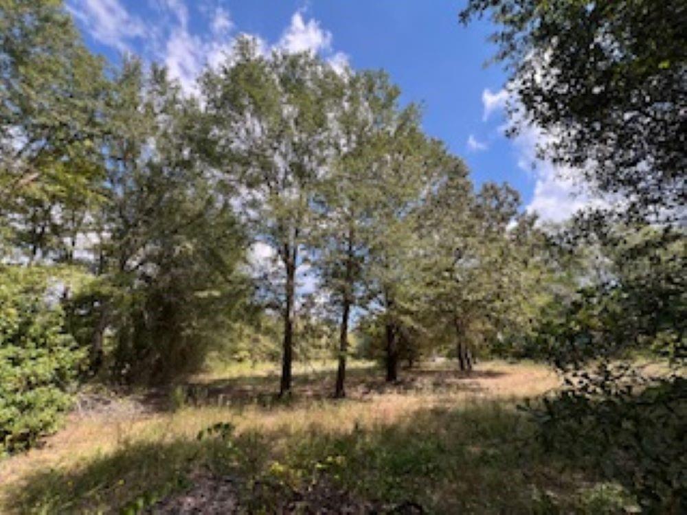 21805 S 69 Highway Property Photo 39