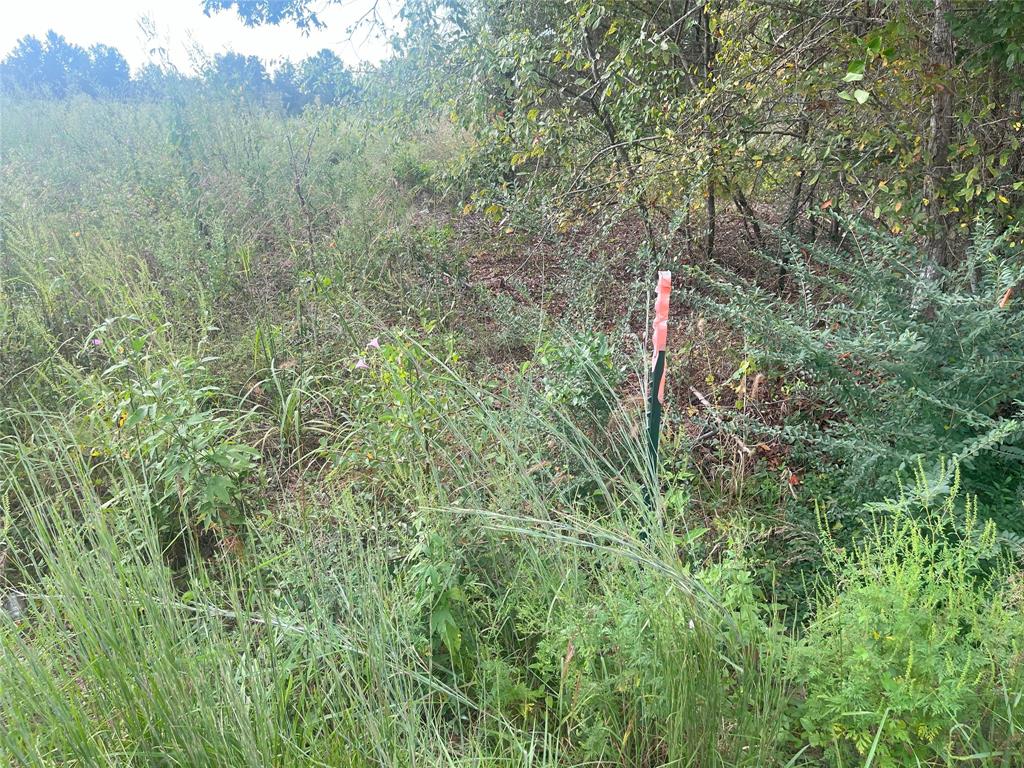 Tbd Myrtle Drive Property Photo 6