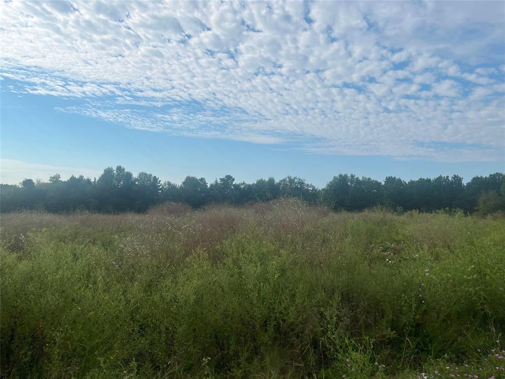 Tbd Myrtle Drive Property Photo 8