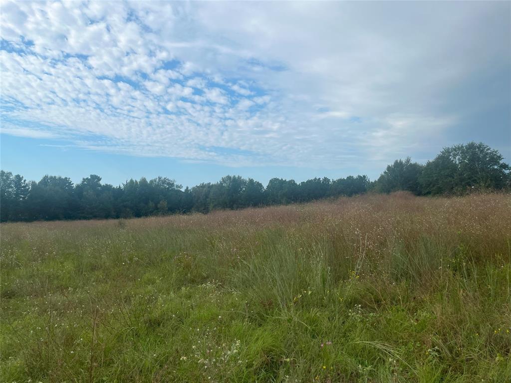 Tbd Myrtle Drive Property Photo 10