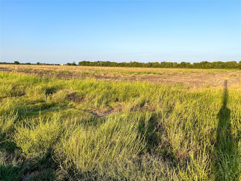 Tbd Fm-38 Property Photo 5