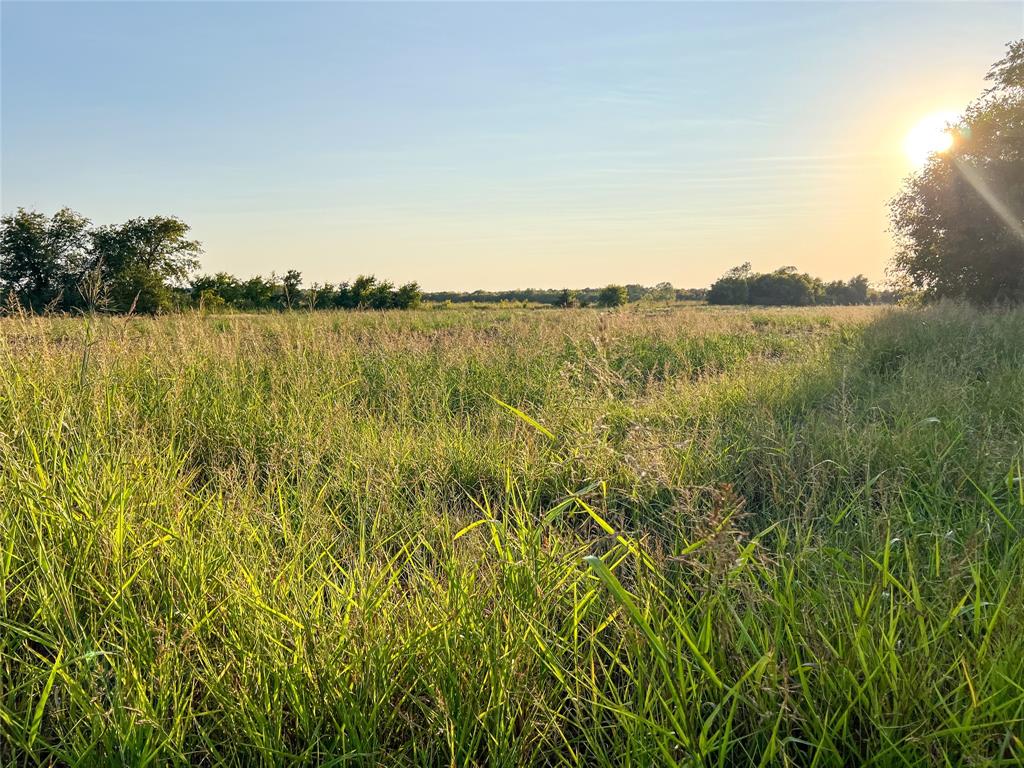 Tbd Fm-38 Property Photo 9