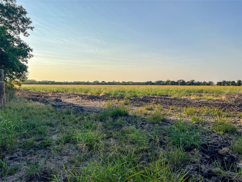 Tbd Fm-38 Property Photo 11