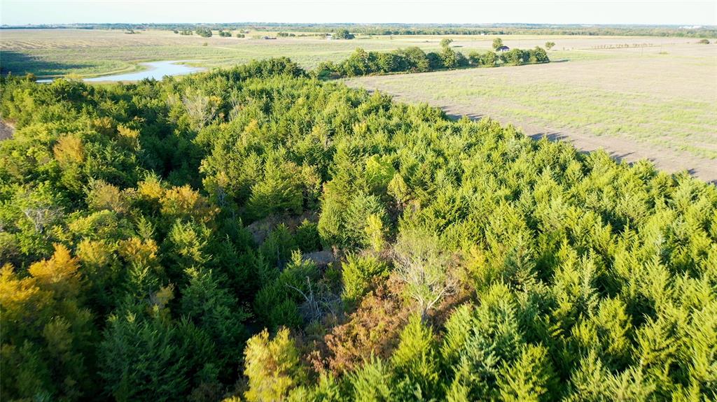 Tbd Fm-38 Property Photo 37