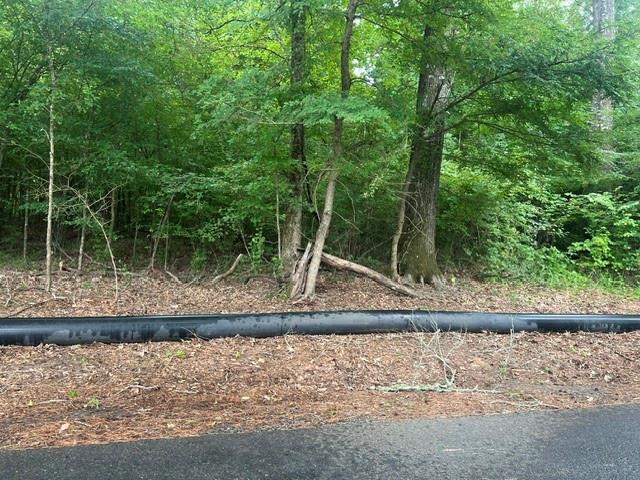 0 Highway 539 Property Photo 3