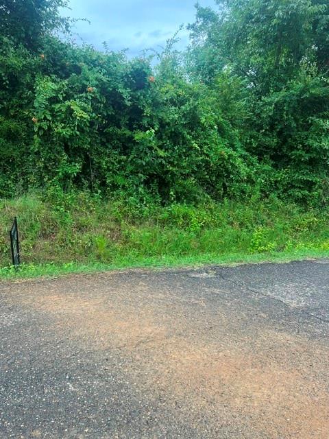 0 Highway 539 Property Photo 6