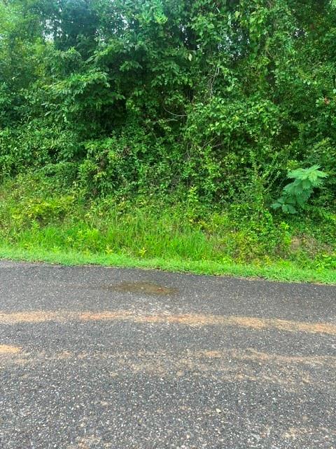 0 Highway 539 Property Photo 8