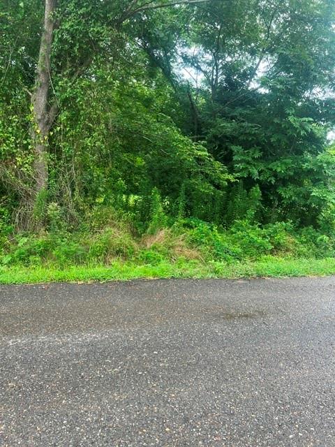 0 Highway 539 Property Photo 10