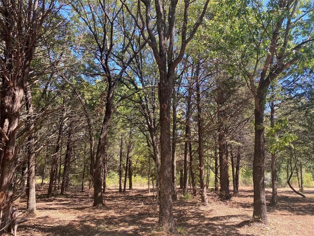 1648 Stuckey Road Property Photo 11